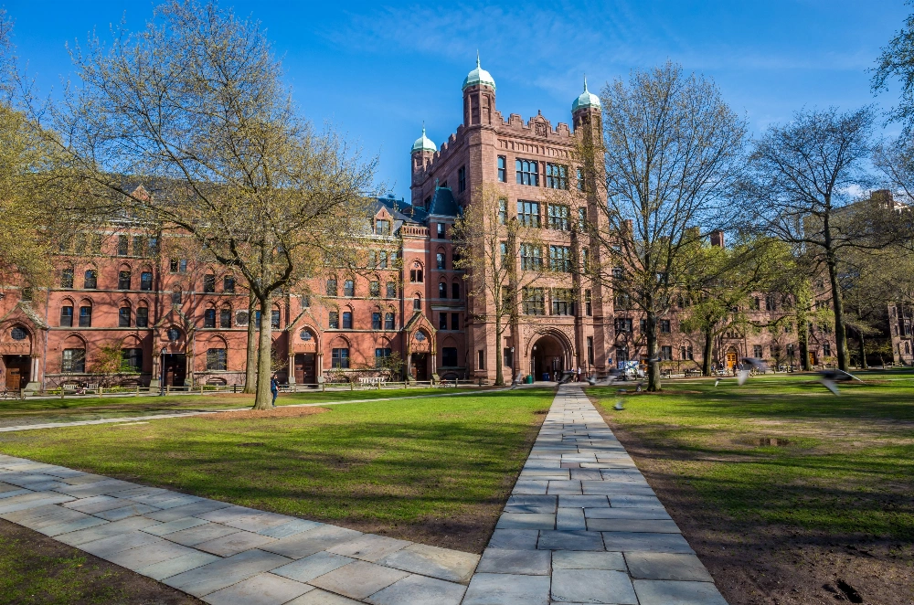 Yale University, New Haven